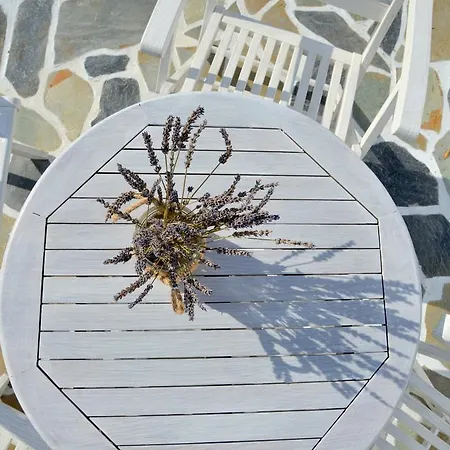 アパート ヴェレタス ルームズ